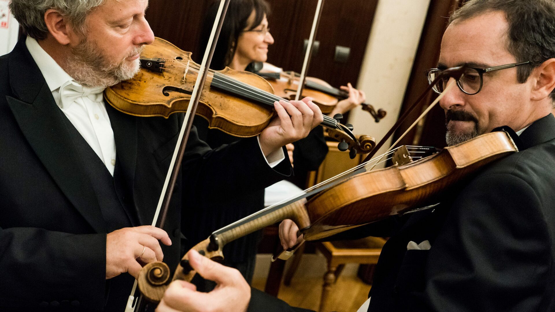 © Wojciech Grzedzinski