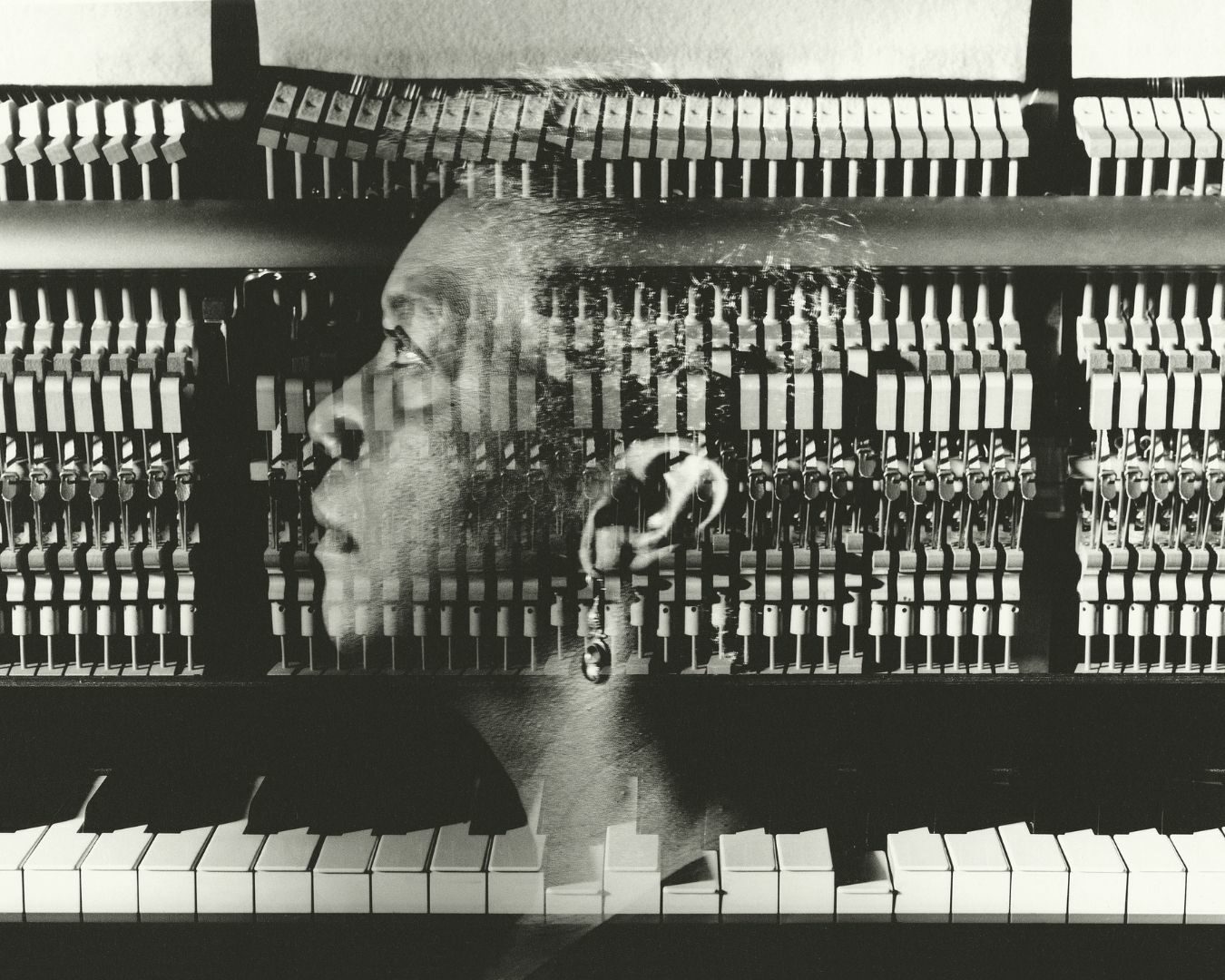 © Enrico Fedrigoli