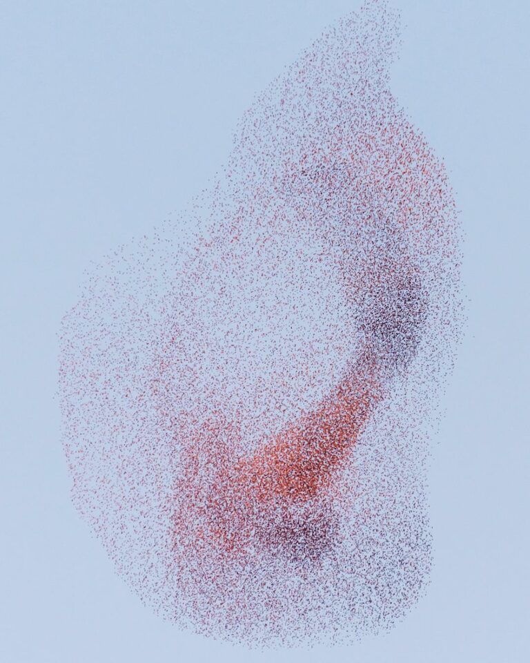 Discovery Image