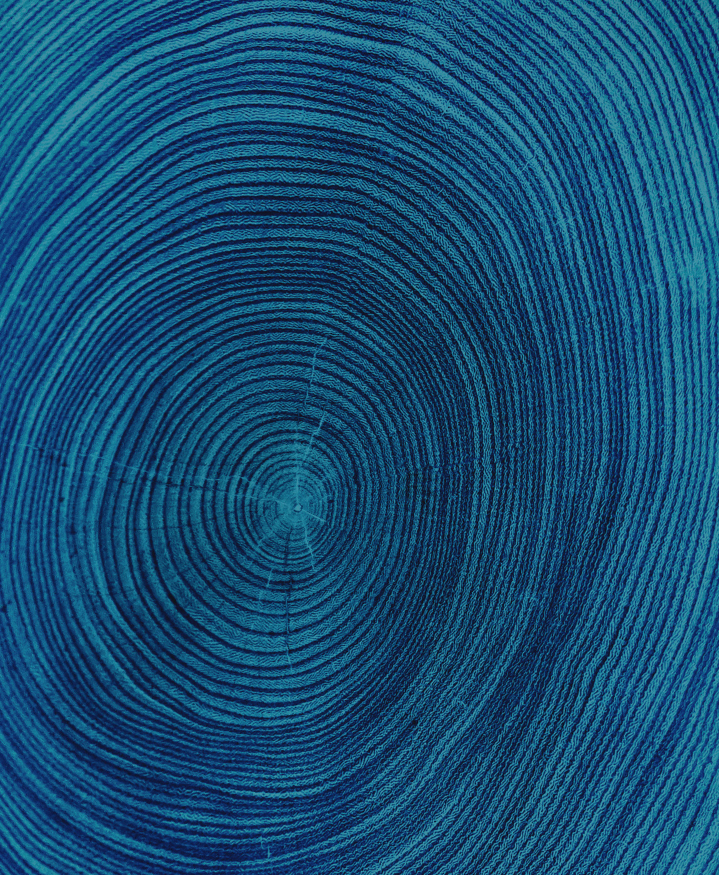 Discovery Image